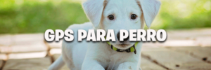 GPS-PARA-PERRO-COLLAR