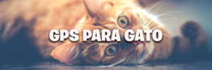GPS_PARA_GATO