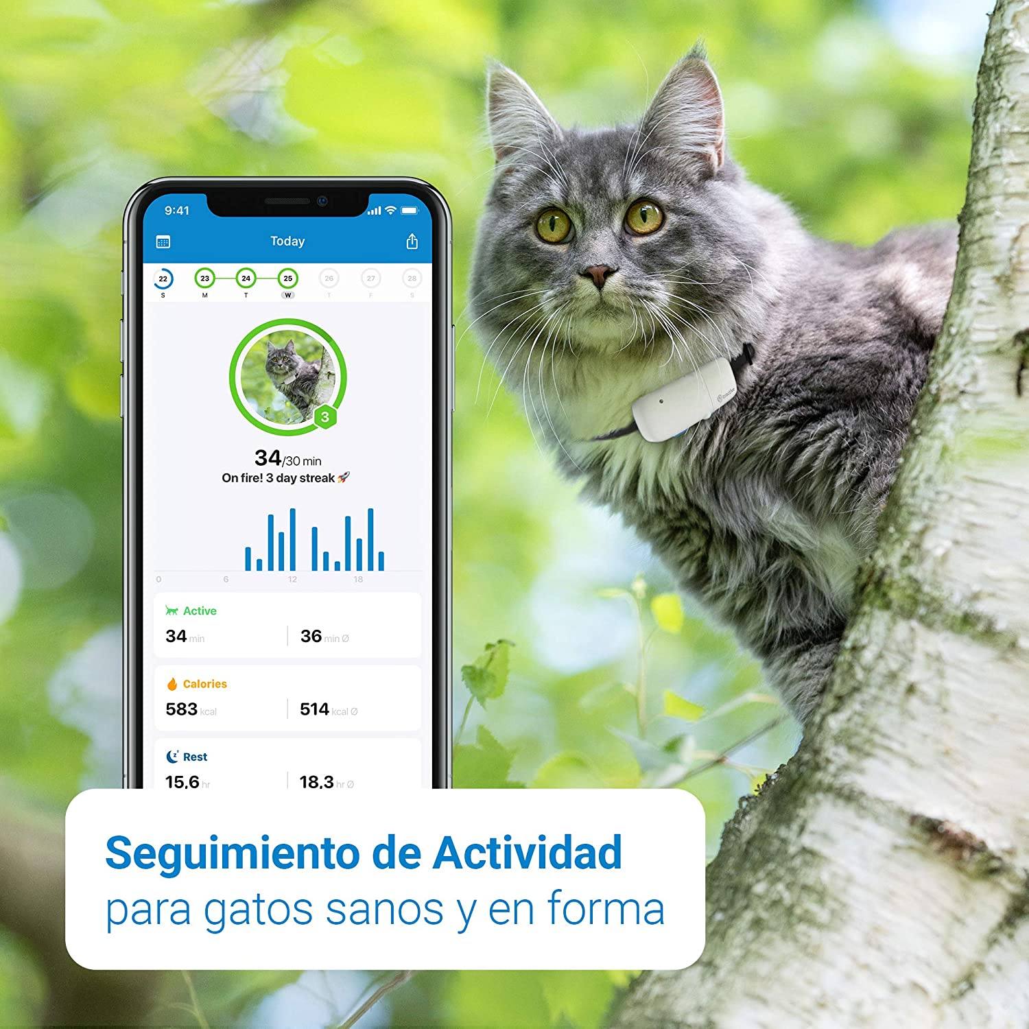 Awesafe Car GPS_MUZZY