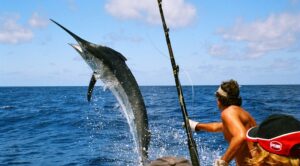 elegir-gps-nonda-marina-pescador