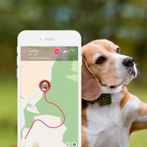 perro-gps-localizador